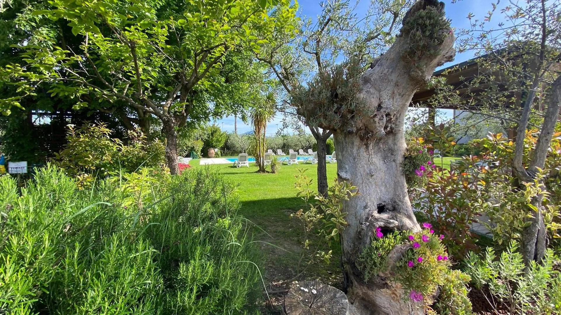 Agricampeggio Oasi Del Garda ラツィーゼ
